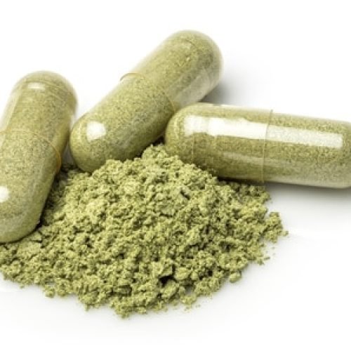 chardon-marie-gelule